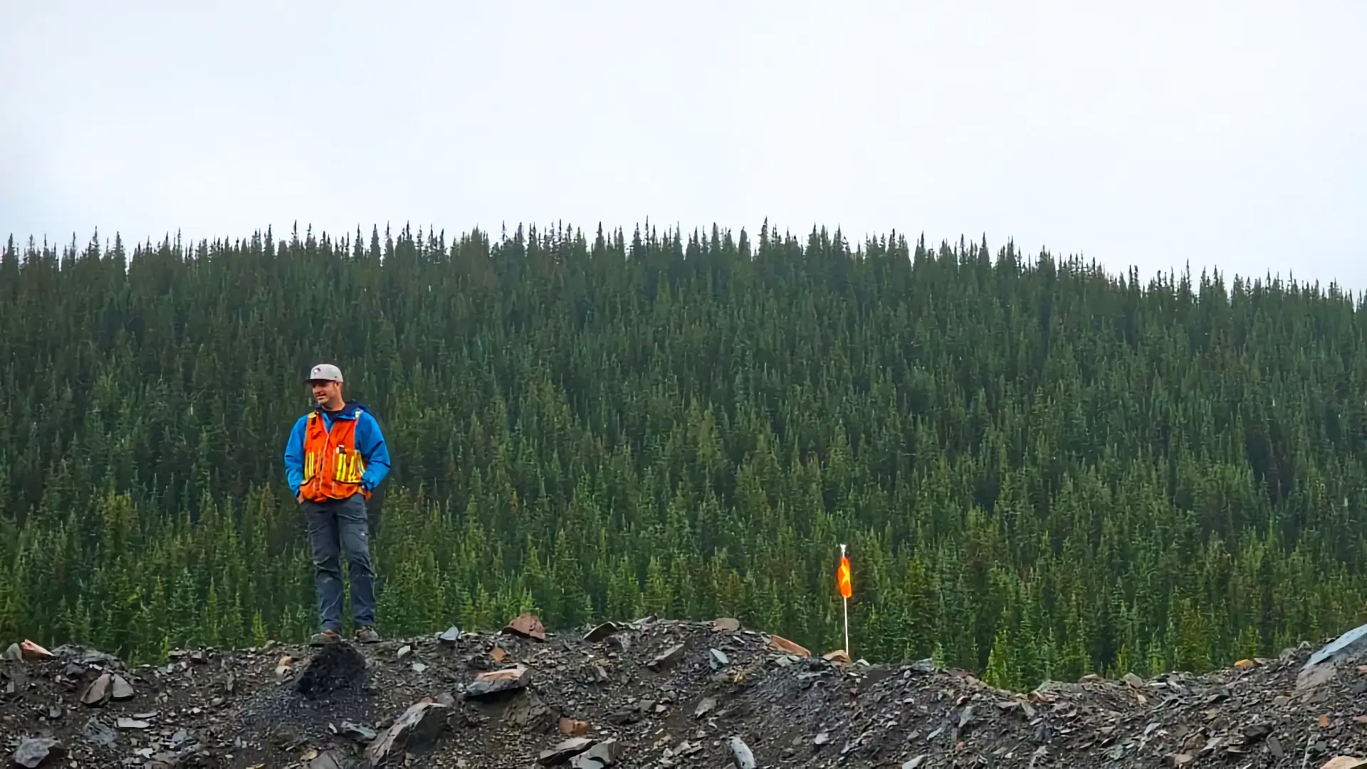 Surveying crew working in the field